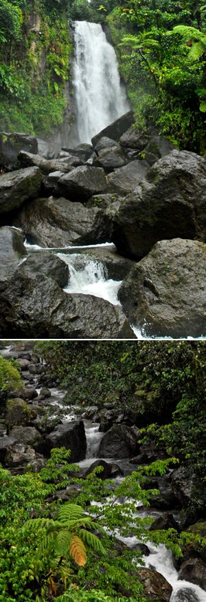 slide-isole/dominica/dominica park roches gravees/catacaribe_pagina_ingrandimento_dominica_park roches gravees_3.jpg